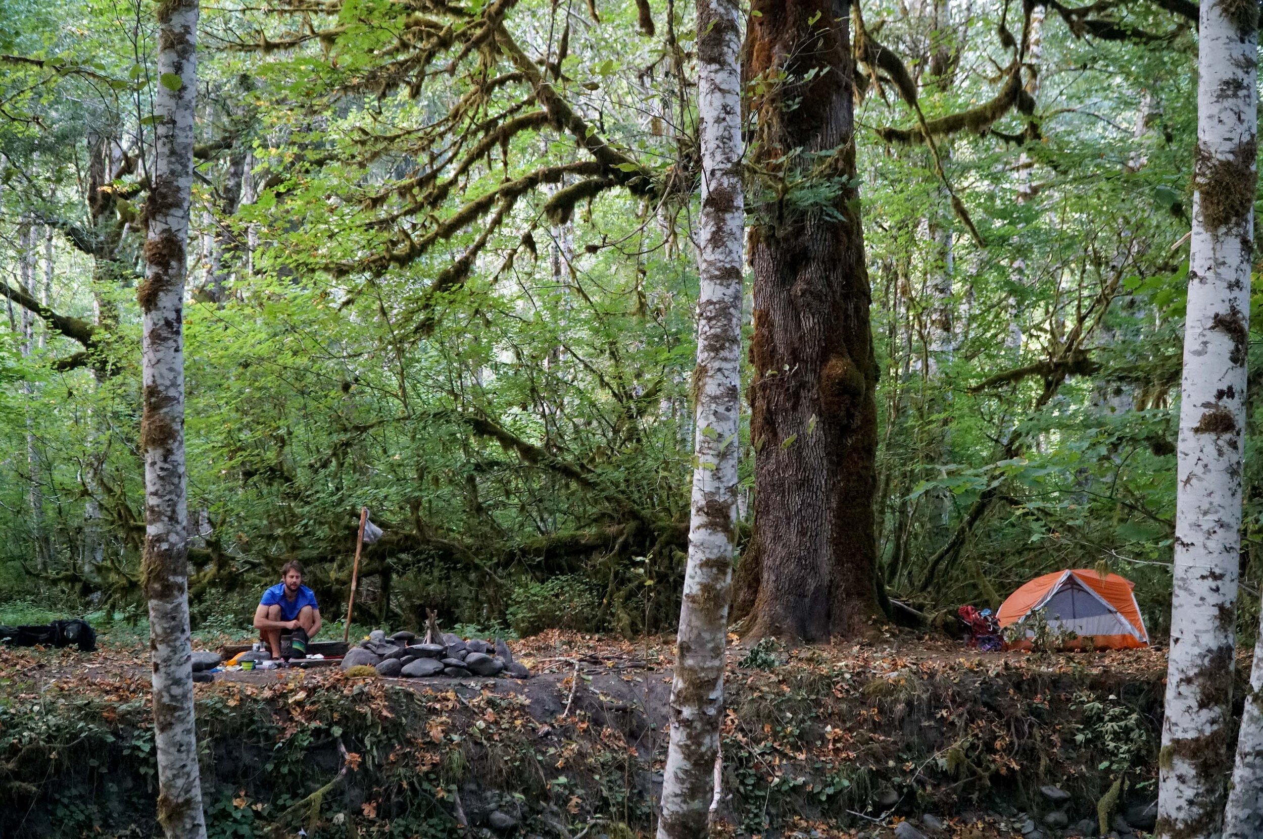 Backpacking the Hoh RIver Trail to the Blue Glacier Olympic National Park Washington  (25 of 30).jpg