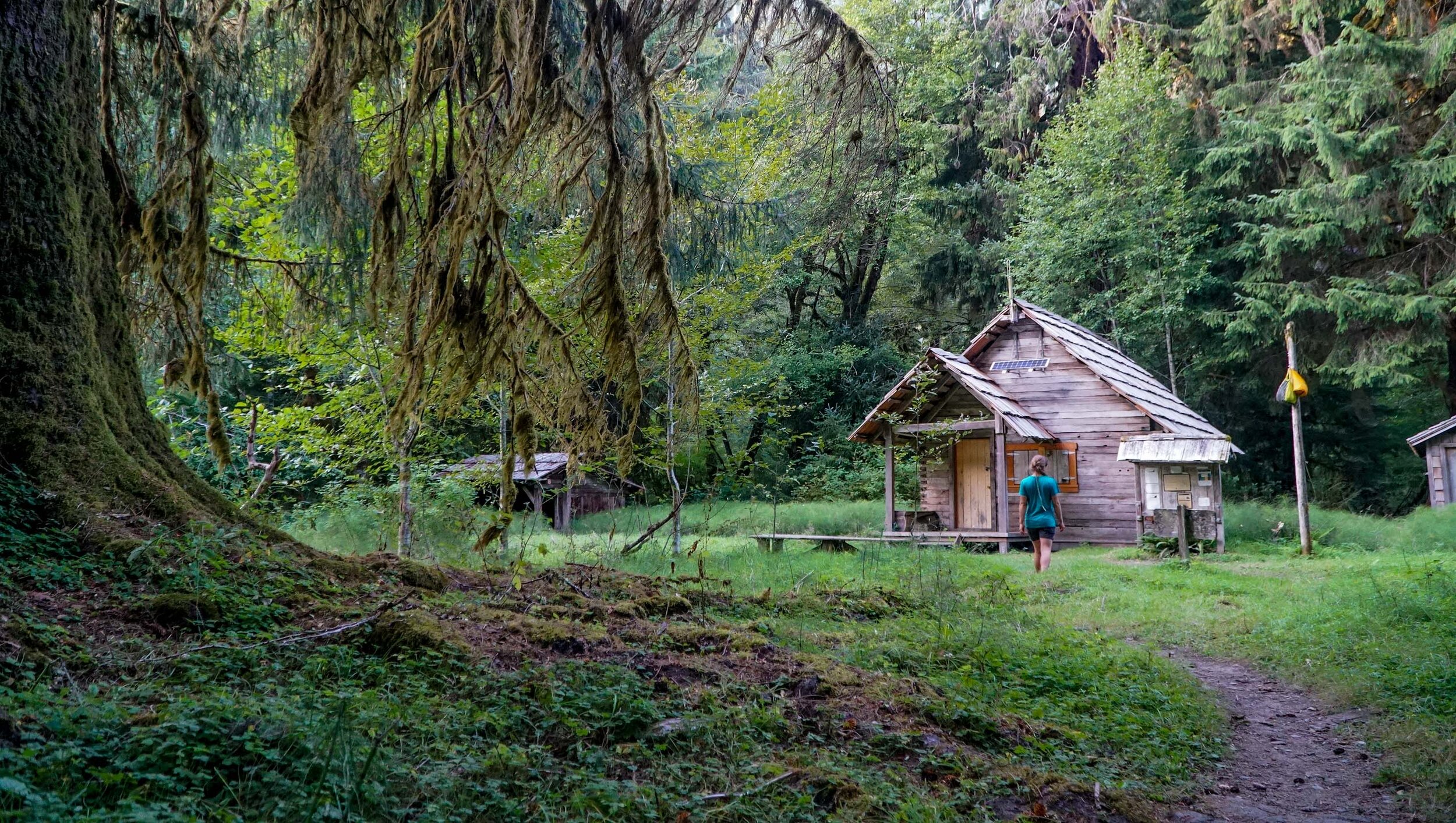 Backpacking the Hoh RIver Trail to the Blue Glacier Olympic National Park Washington  (23 of 30).jpg