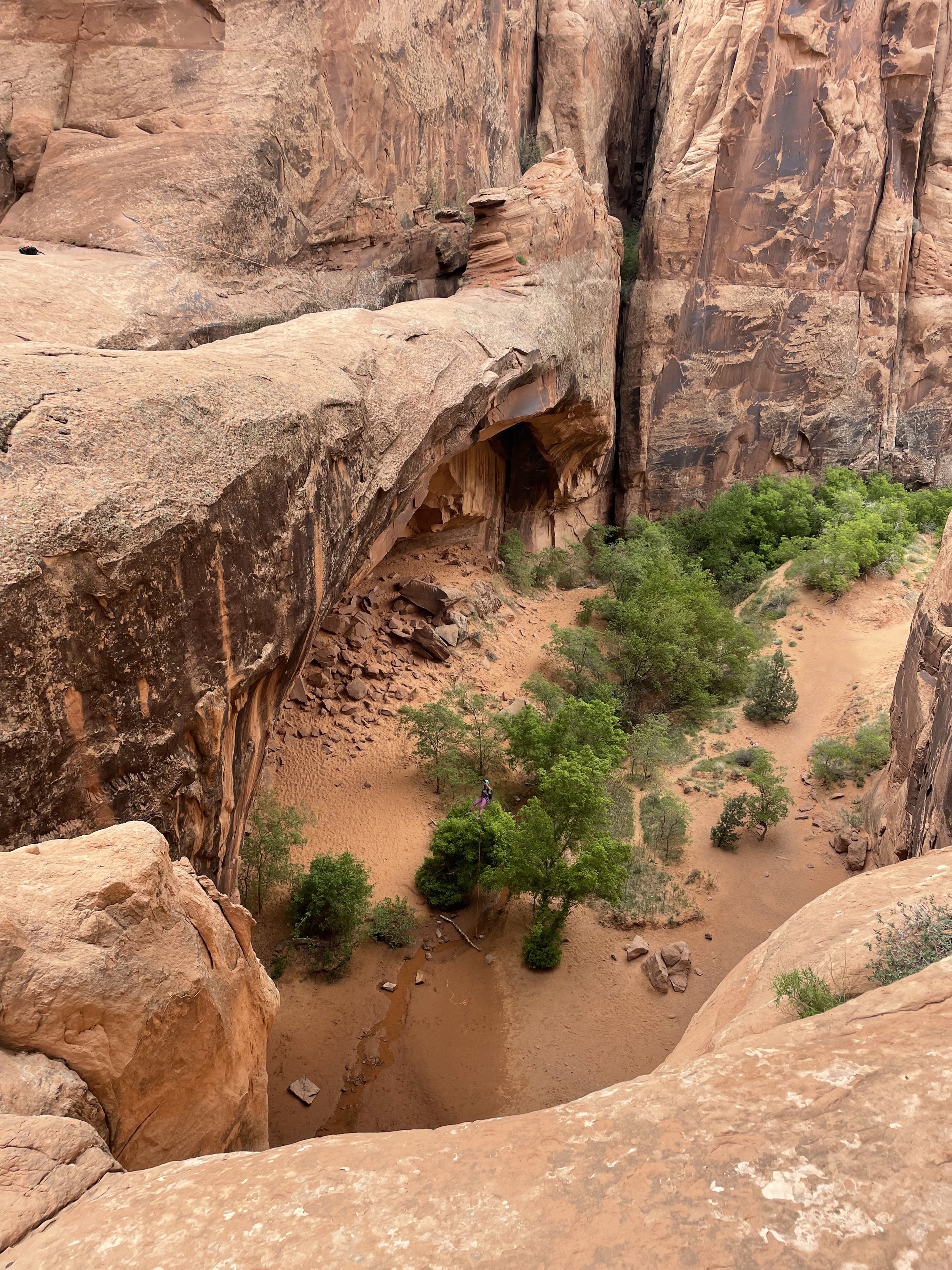 Medieval Chamber Canyon Moab.jpg