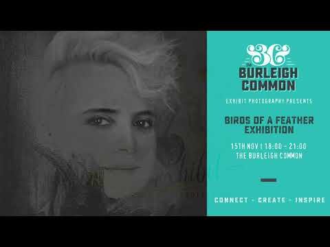 Exhibition Photography - "Birds of a Feather"