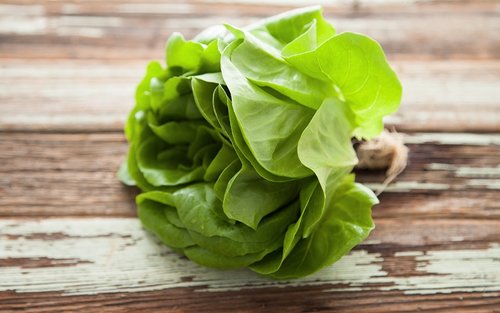 green-butter-lettuce.jpg