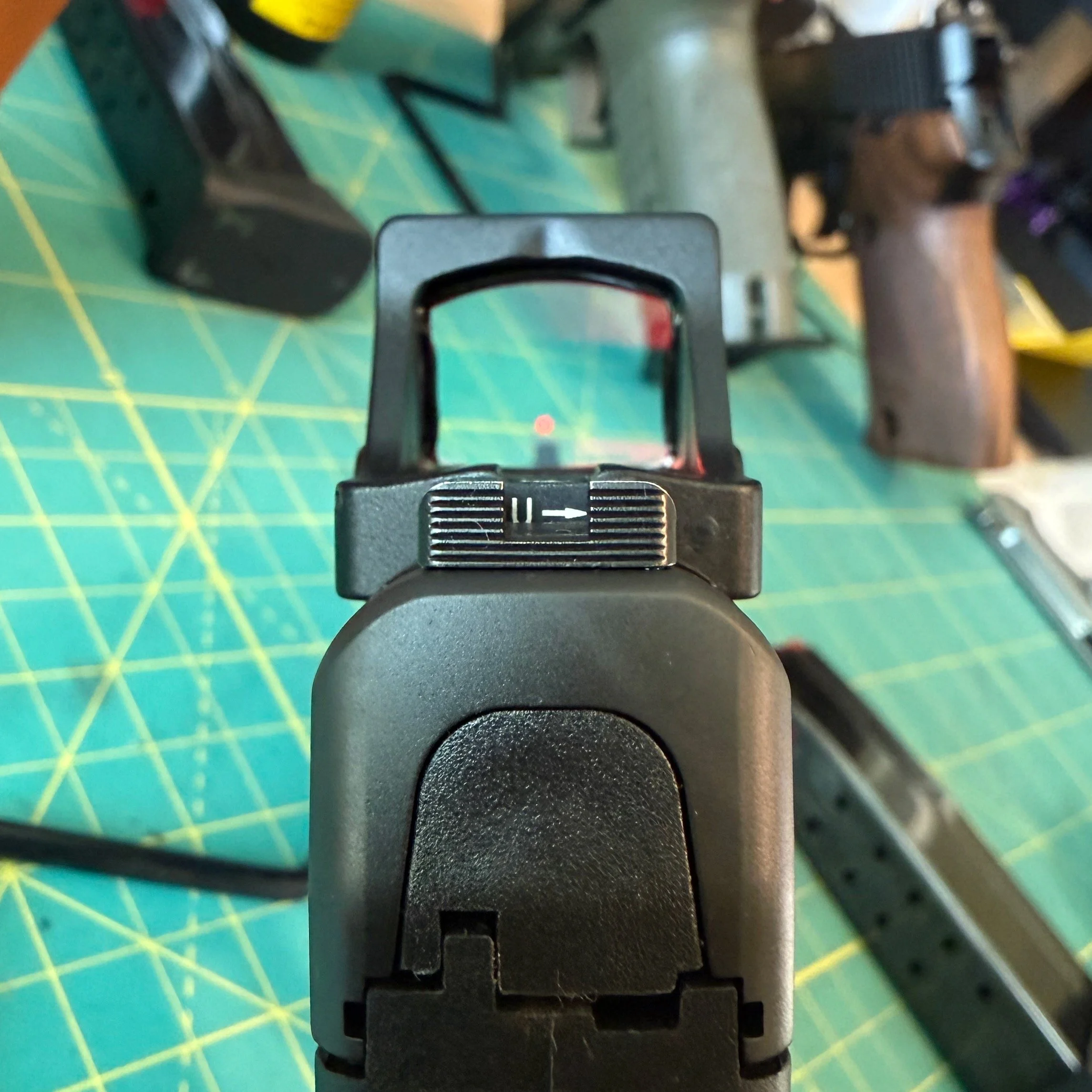 CC9-Cowitness - 1.jpeg