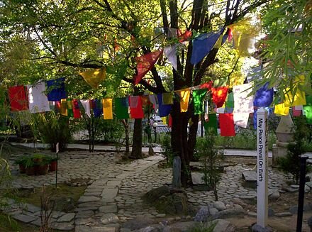 prayer flags.jpg