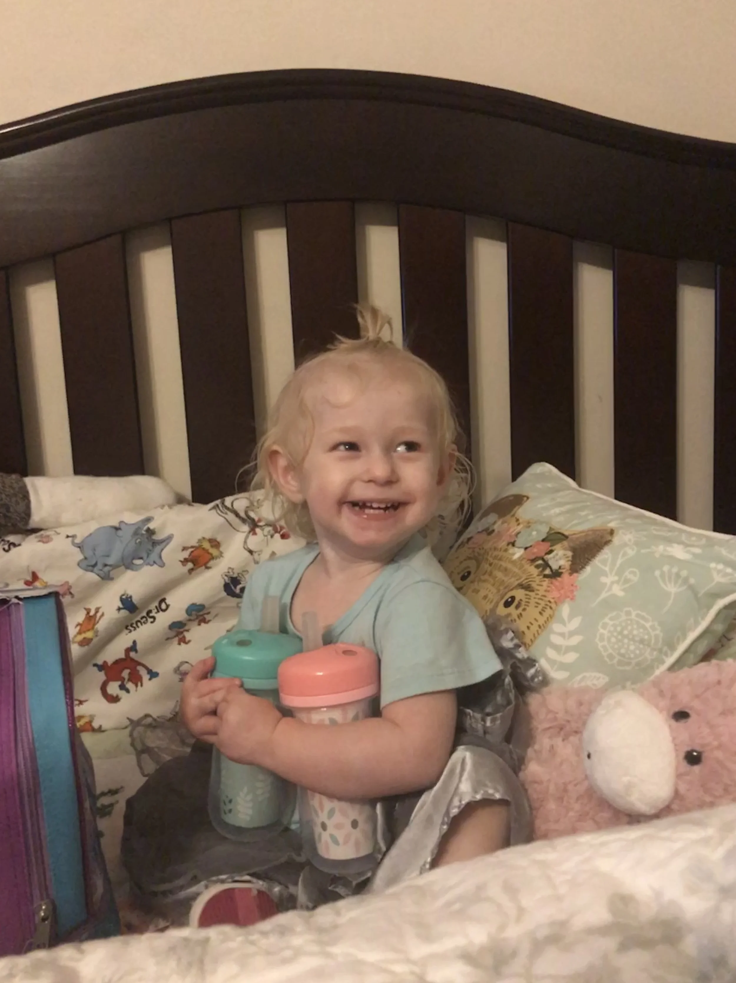 70196953_369dd6d5-7289-4e43-b409-7d233be359c3.jpeg