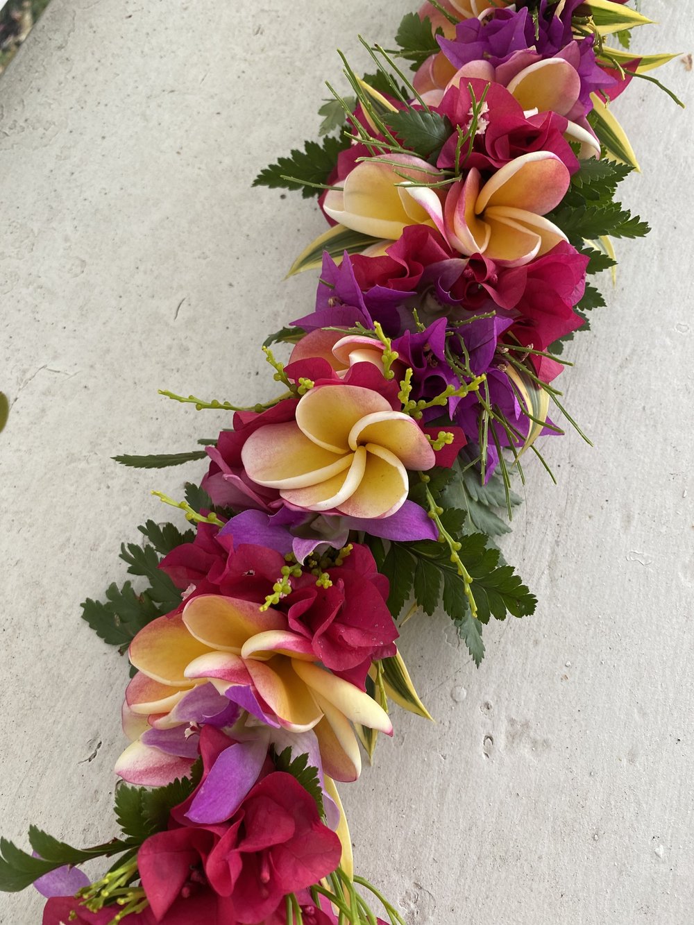 Plumeria Rainbow — The Happy Haku