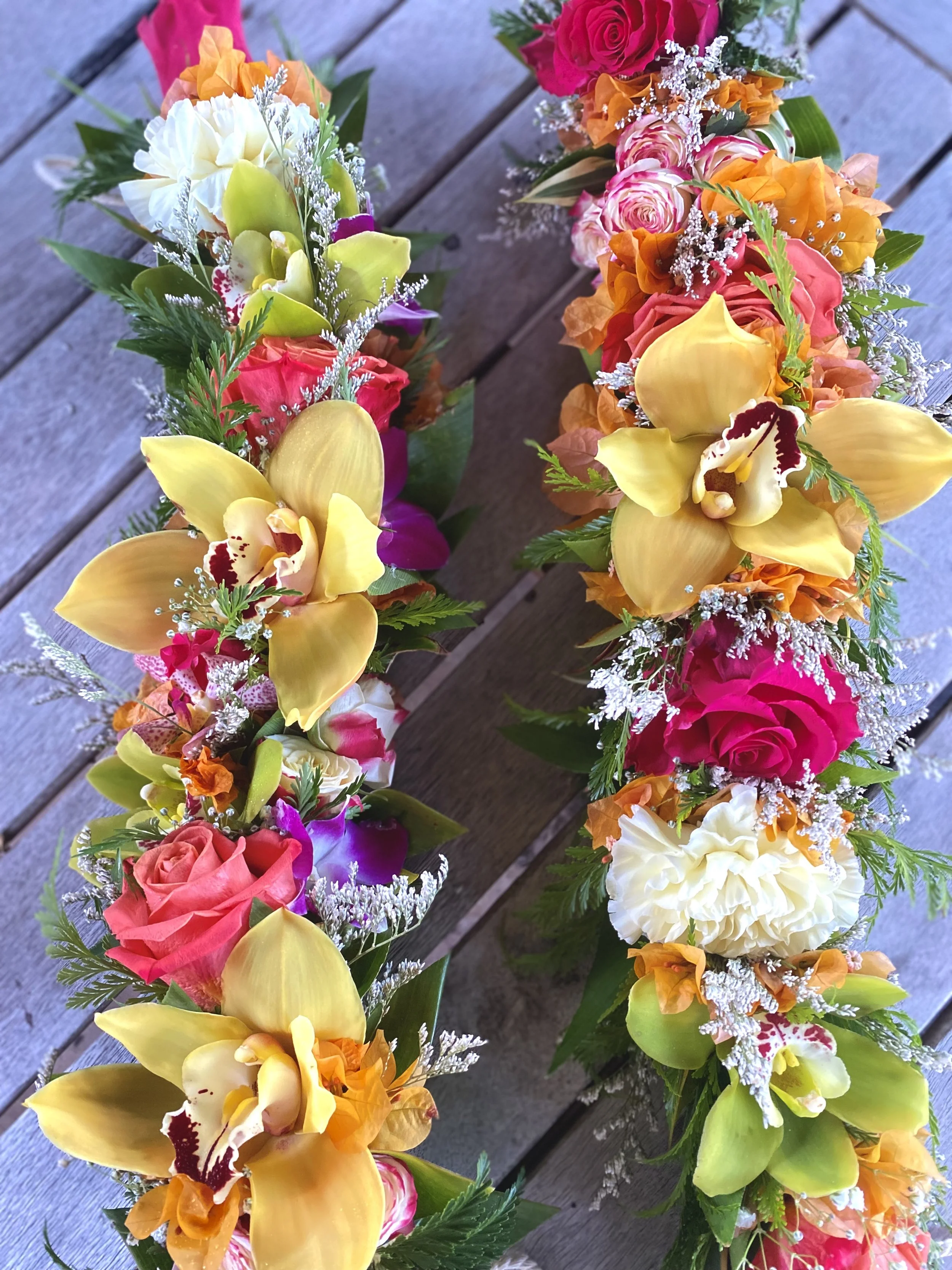Rainbow Cymbidium Crown