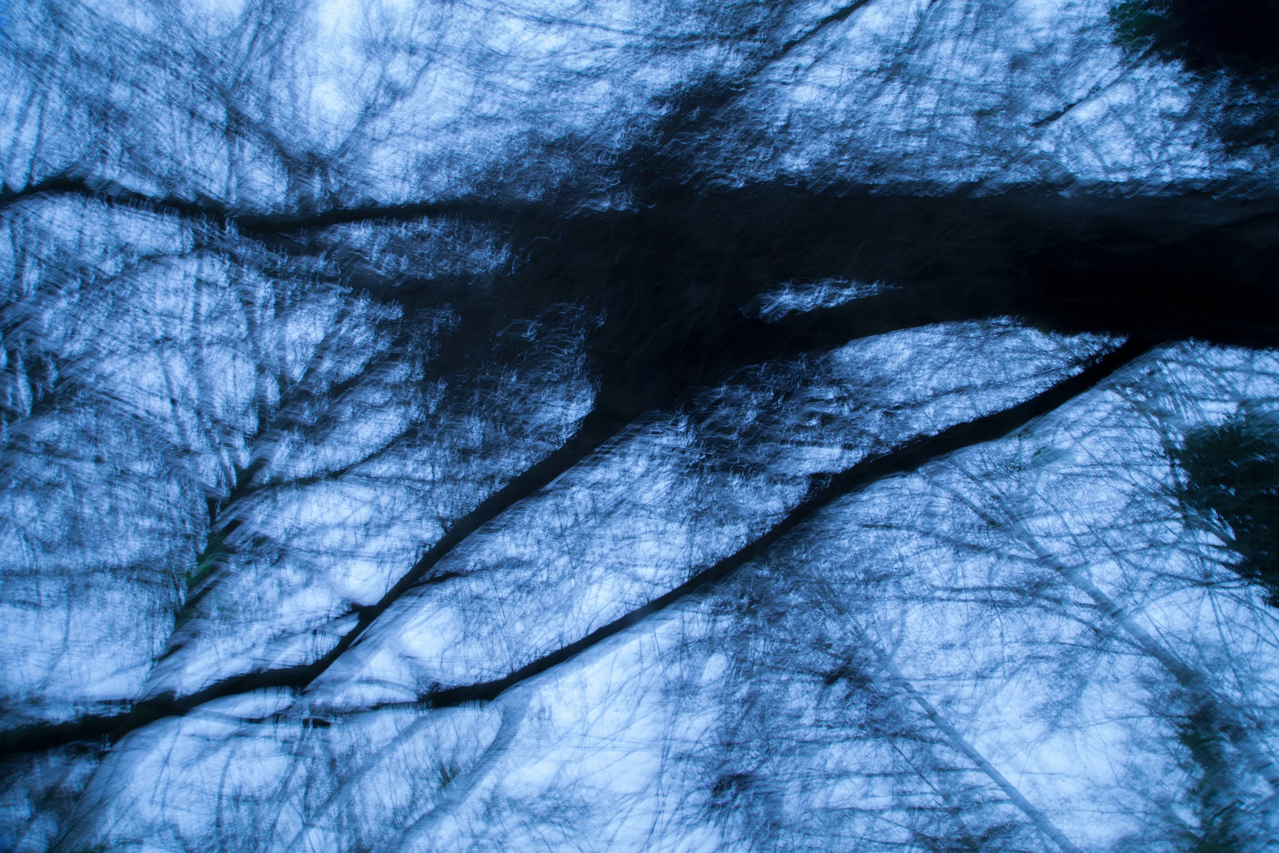 IMG_8208.jpg
