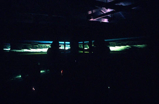 2.luminal4.jpg