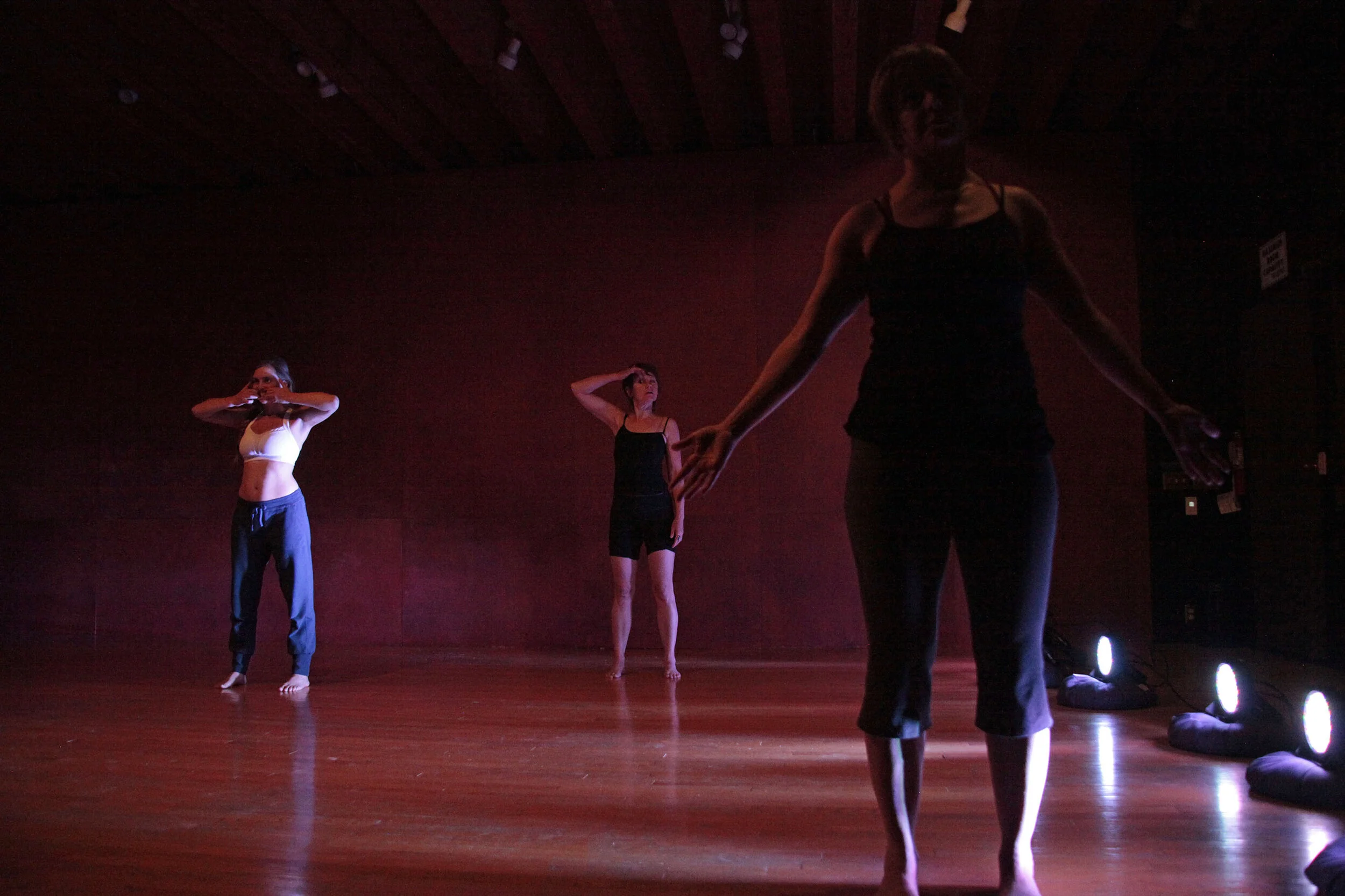 ANNA HALPRIN PERFORMANCE LAB (ongoing)