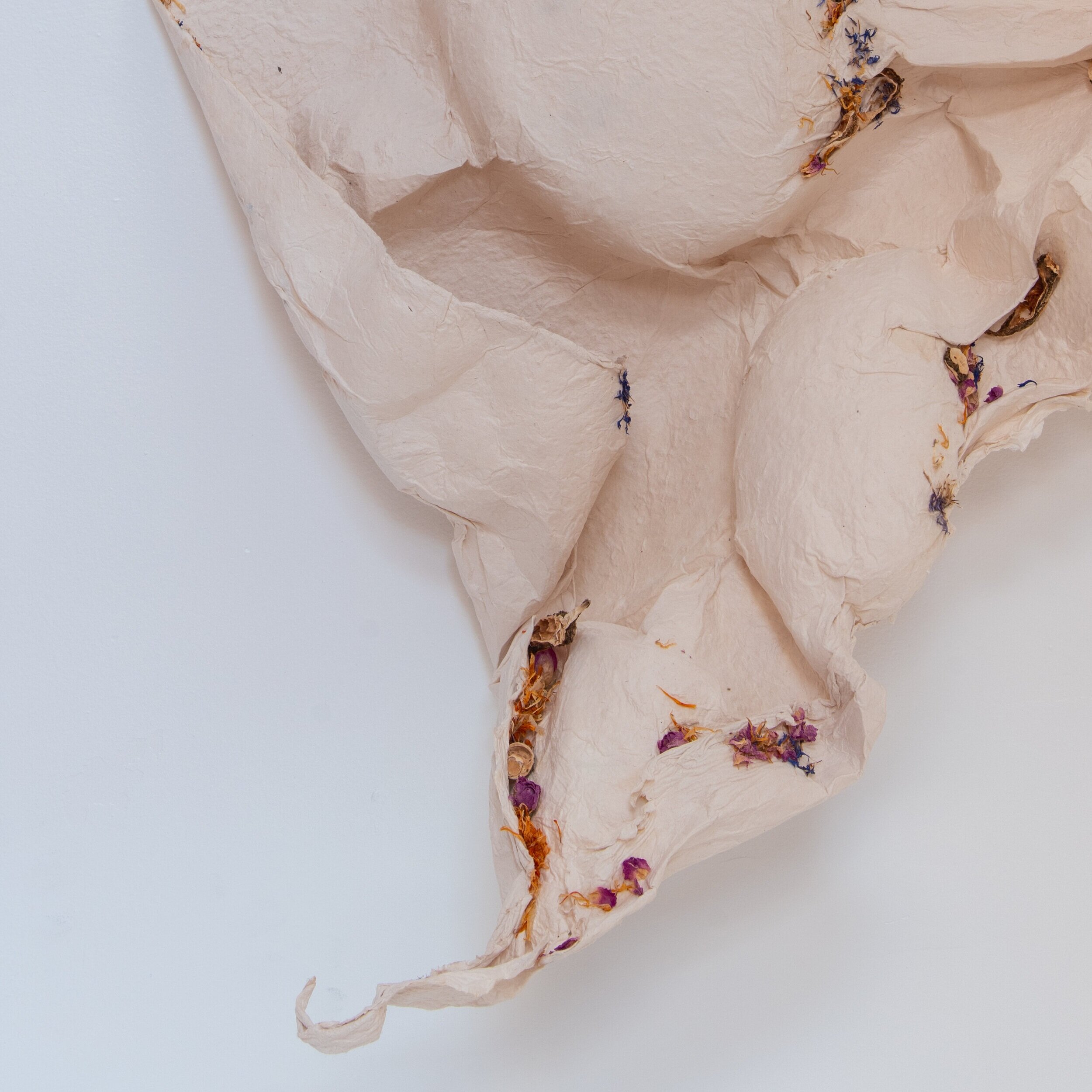 detail of ‘From a Single Sheet’