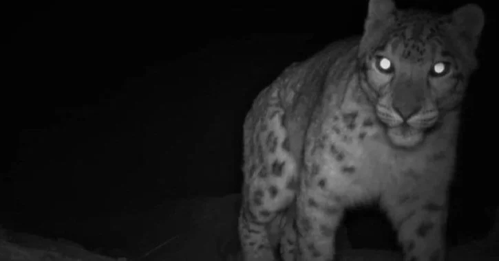 I am so excited &amp; proud to announce that my Fulbright sisters @lilyjane17 @andereisman and I working with talented Nepal sisters @dolpo_tales_ @tshiringlhamulama received a Citizen Diplomacy Action Fund from the #unitedstatesdepartmentofstate and