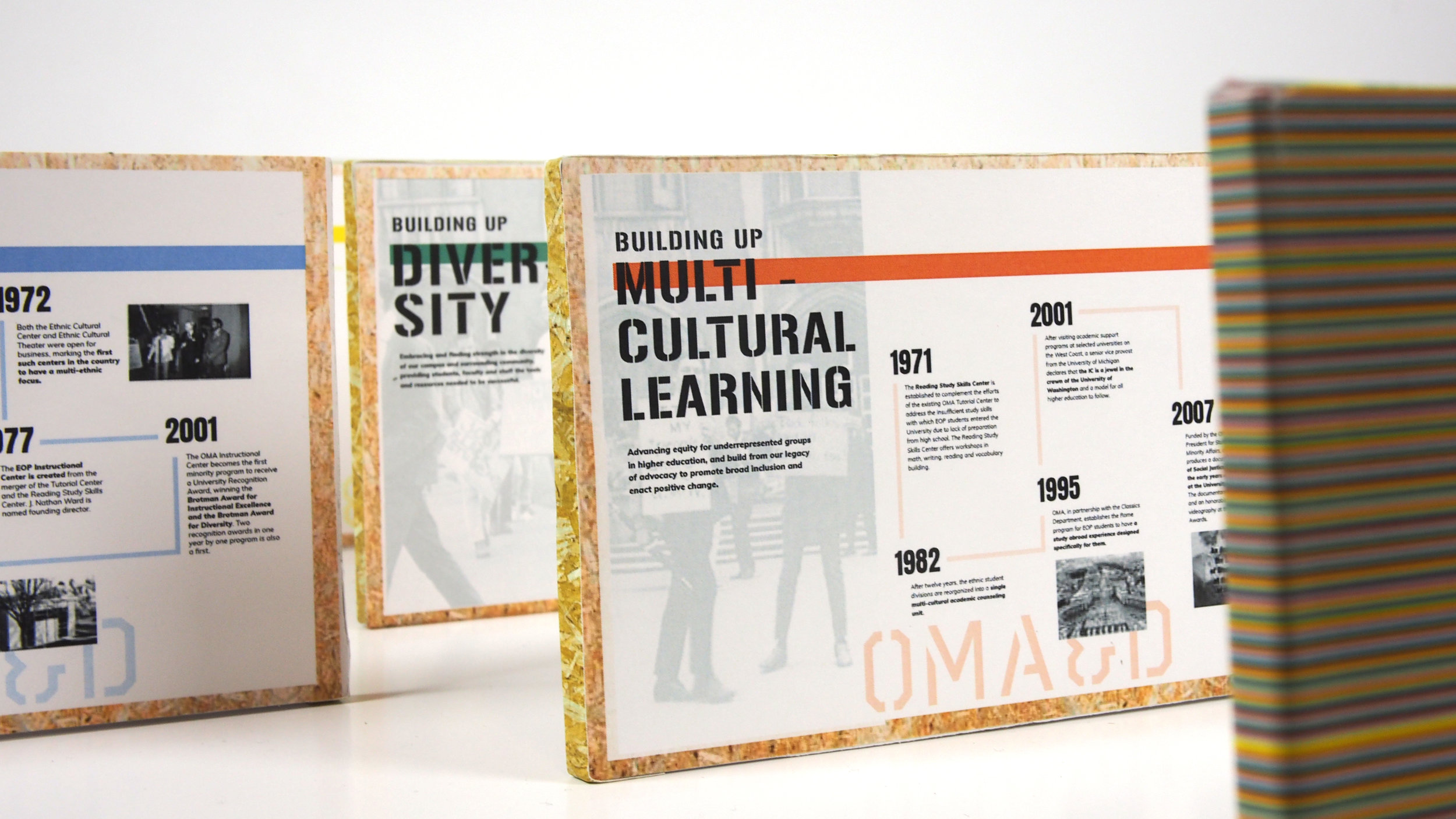 Building Up: Multicultural Learning. Advancing equity for underrepresented groups in higher education, and build from our legacy of advocacy to promote broad inclusion and enact positive change.