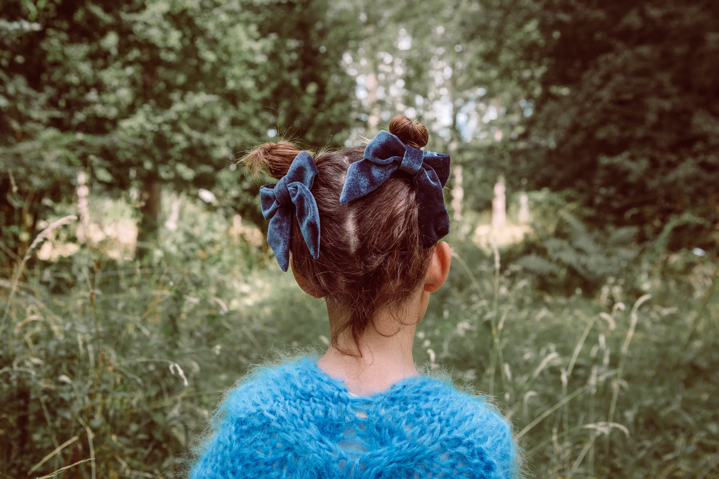 Alexa bows - blue