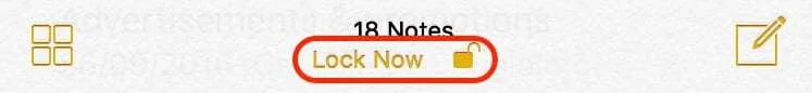 iOS_-_Lock_All_Notes_-_Annotated.jpg