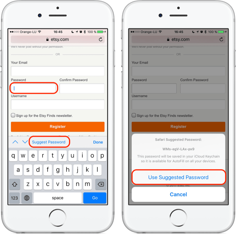 iOS_-_Safari_suggest_password_Annotated_800px_Optimized.png