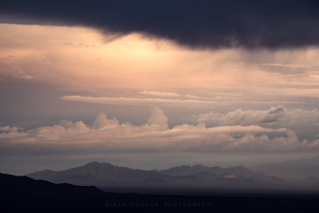 _91A8981-Edit-copy.jpg
