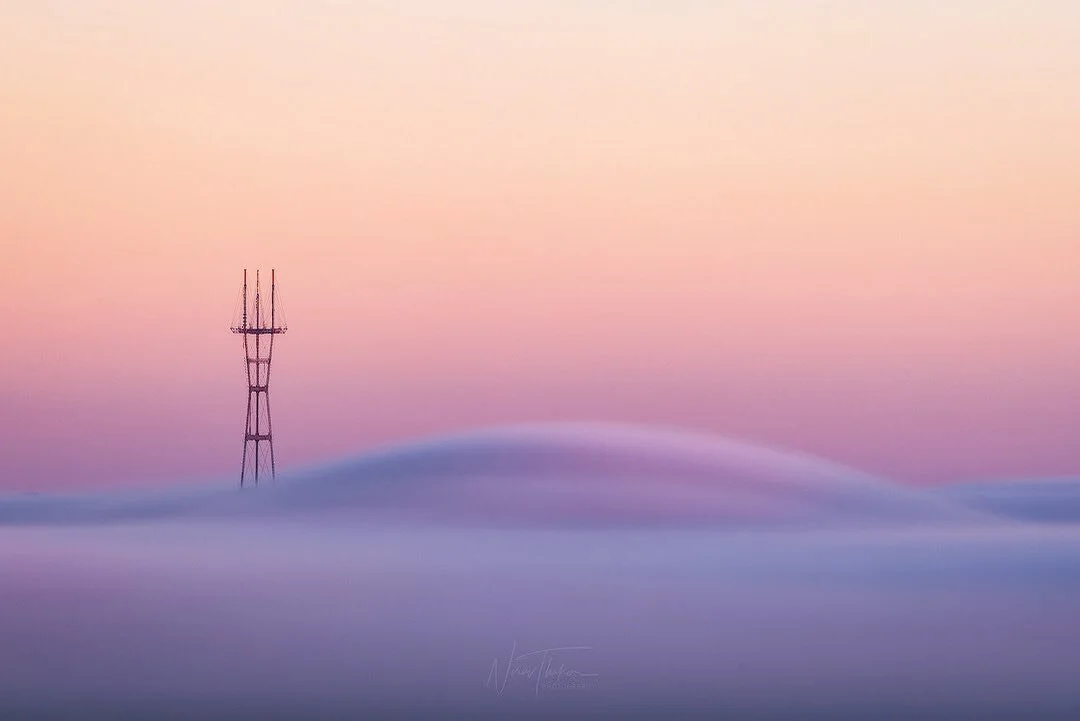 Sutro fog.