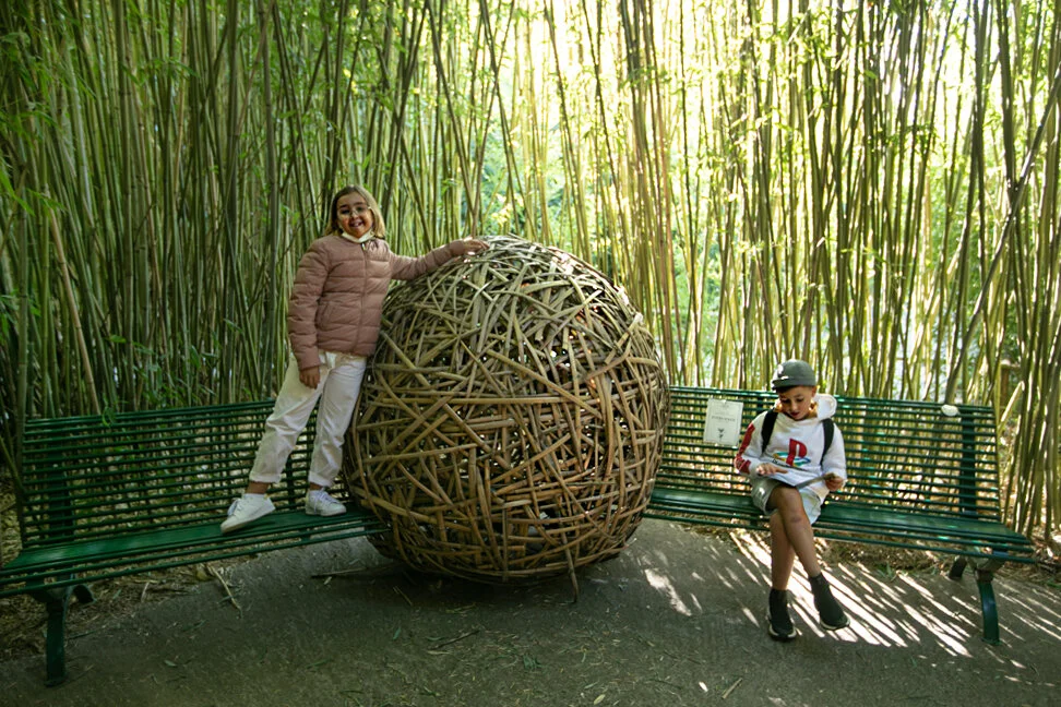 Лабиринт Делла Масоне – самый большой бамбуковый лабиринт в мире