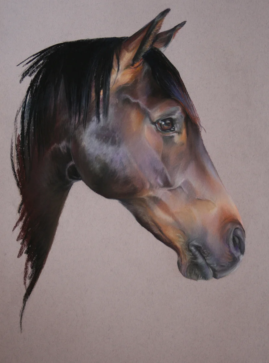 Commission: Whitmarsh. Pastel. 42 x 32cm.