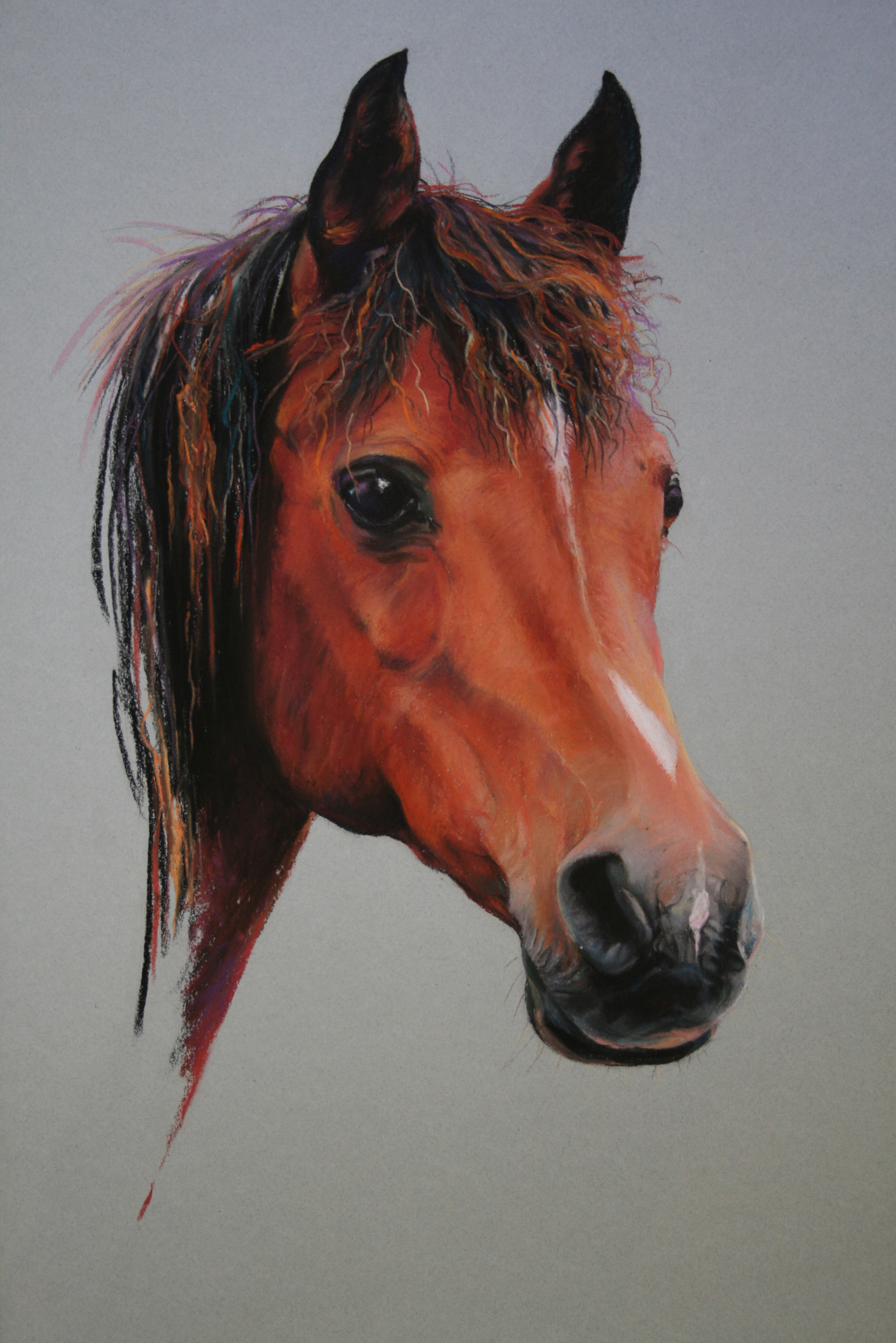 Commission: Arab Mare. Pastel. 42 x 32cm.