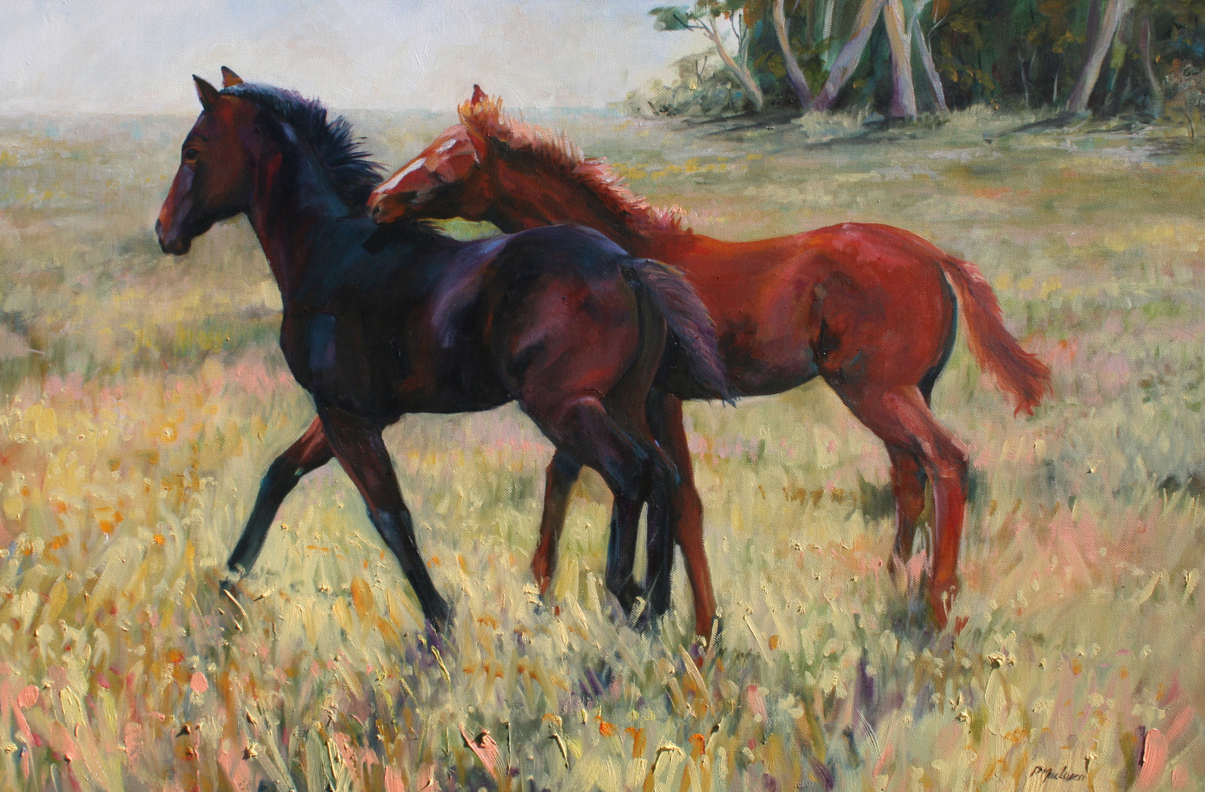 Hope Springs. Finalist: International Equine Art Prize. Oil on canvas. Approx 94 x 54cm framed.