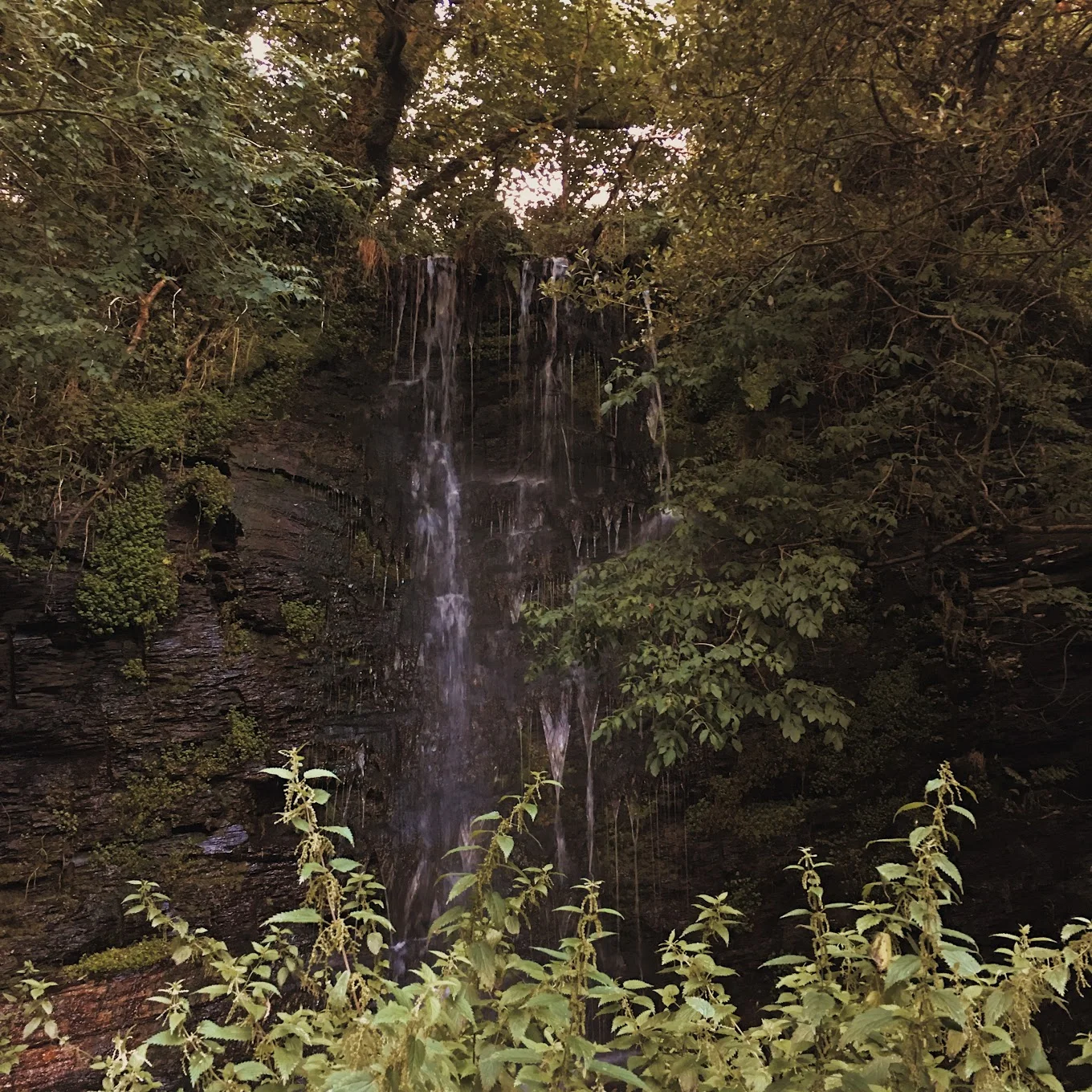 The beautiful on site waterfall. How many places can boast that?