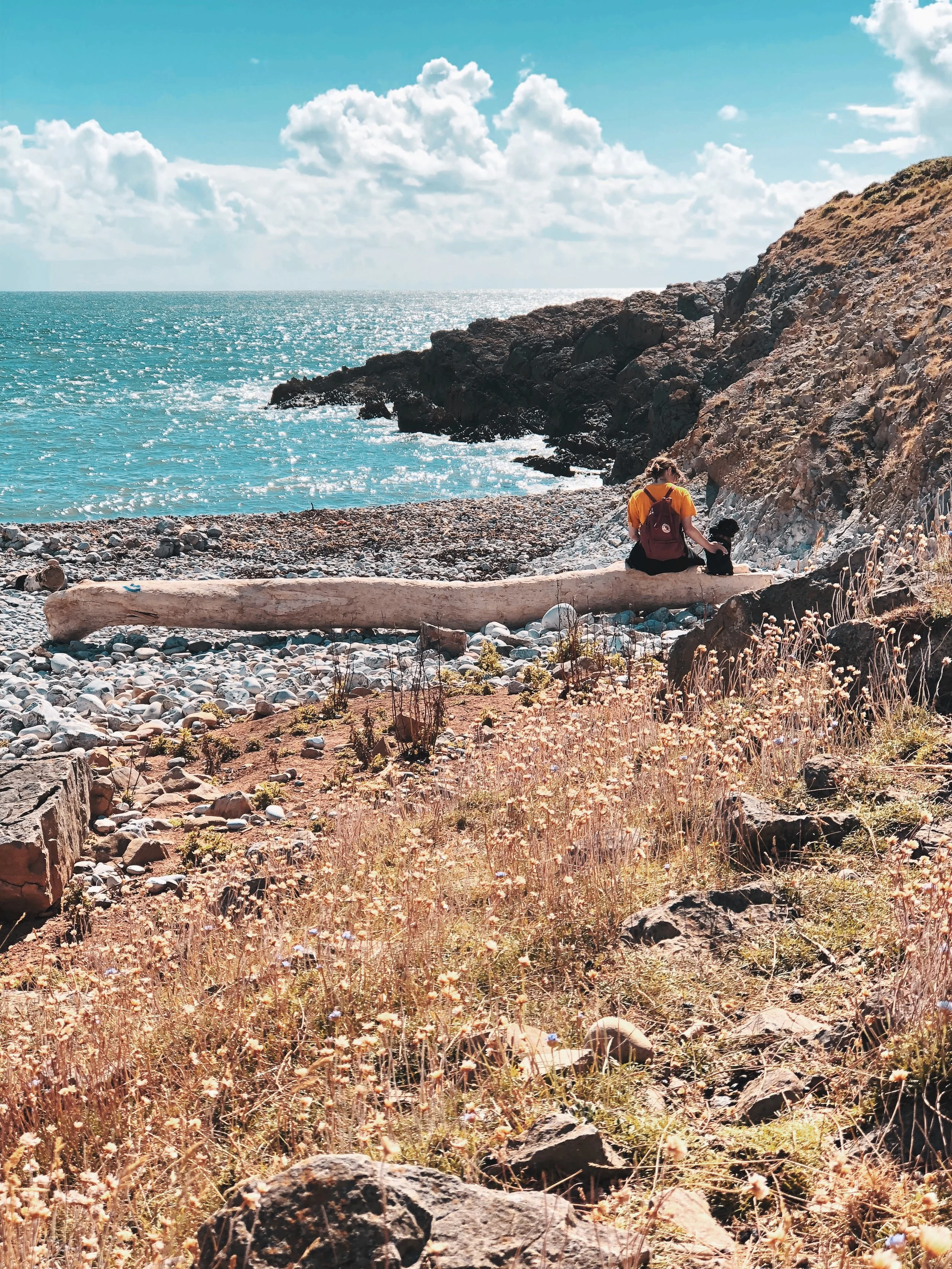 Enjoying the view across the Devon on a driftwood bench.