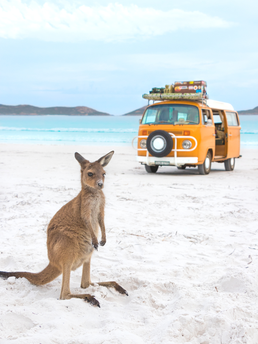 When on the road you make friends of all shapes and sizes.