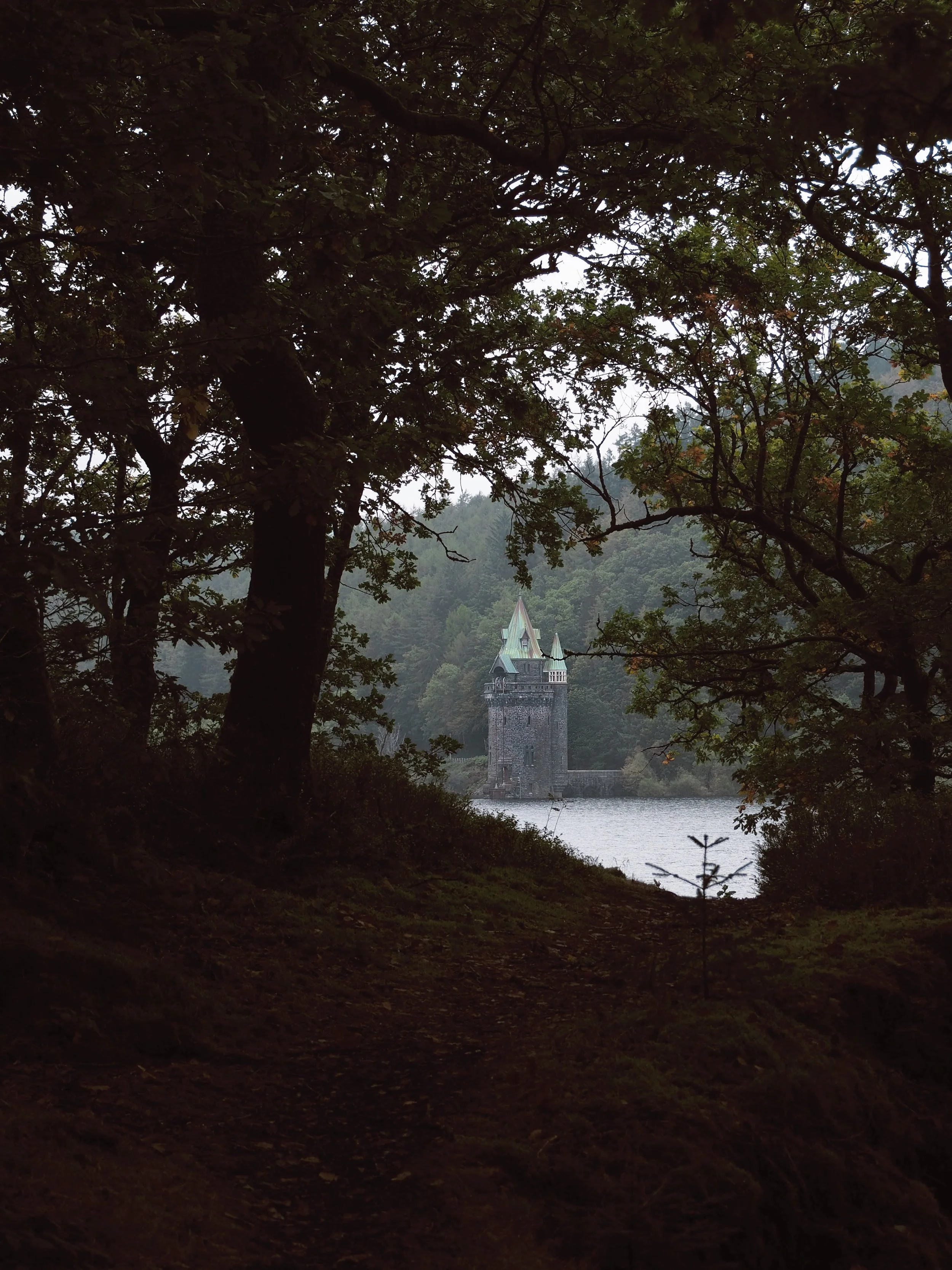 Lake Vyrnwy