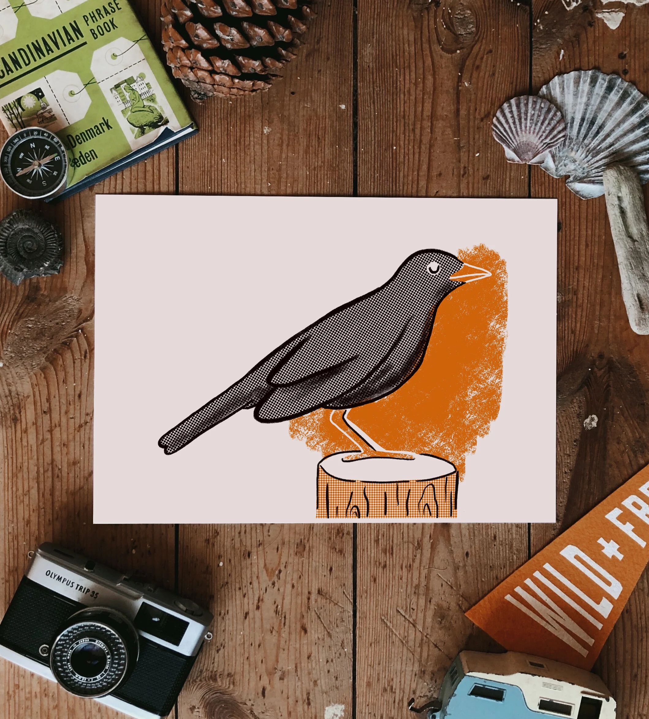 Wildlife Series- Blackbird