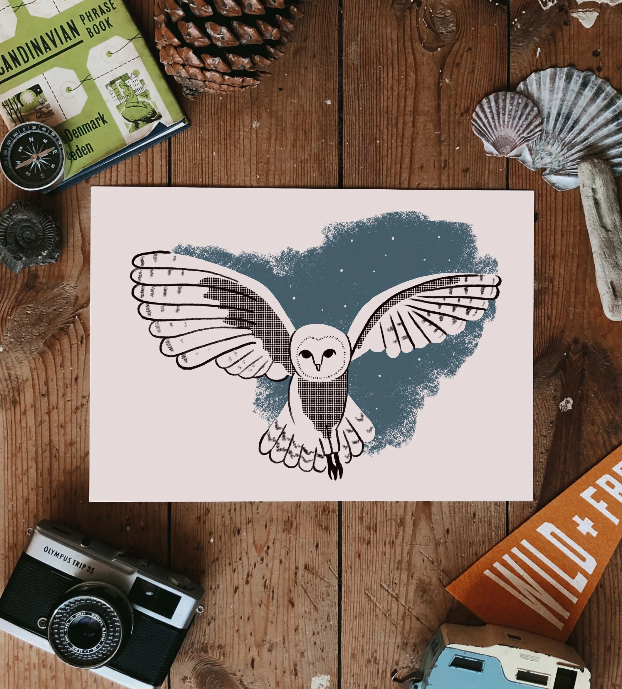 Wildlife Series- Barn Owl