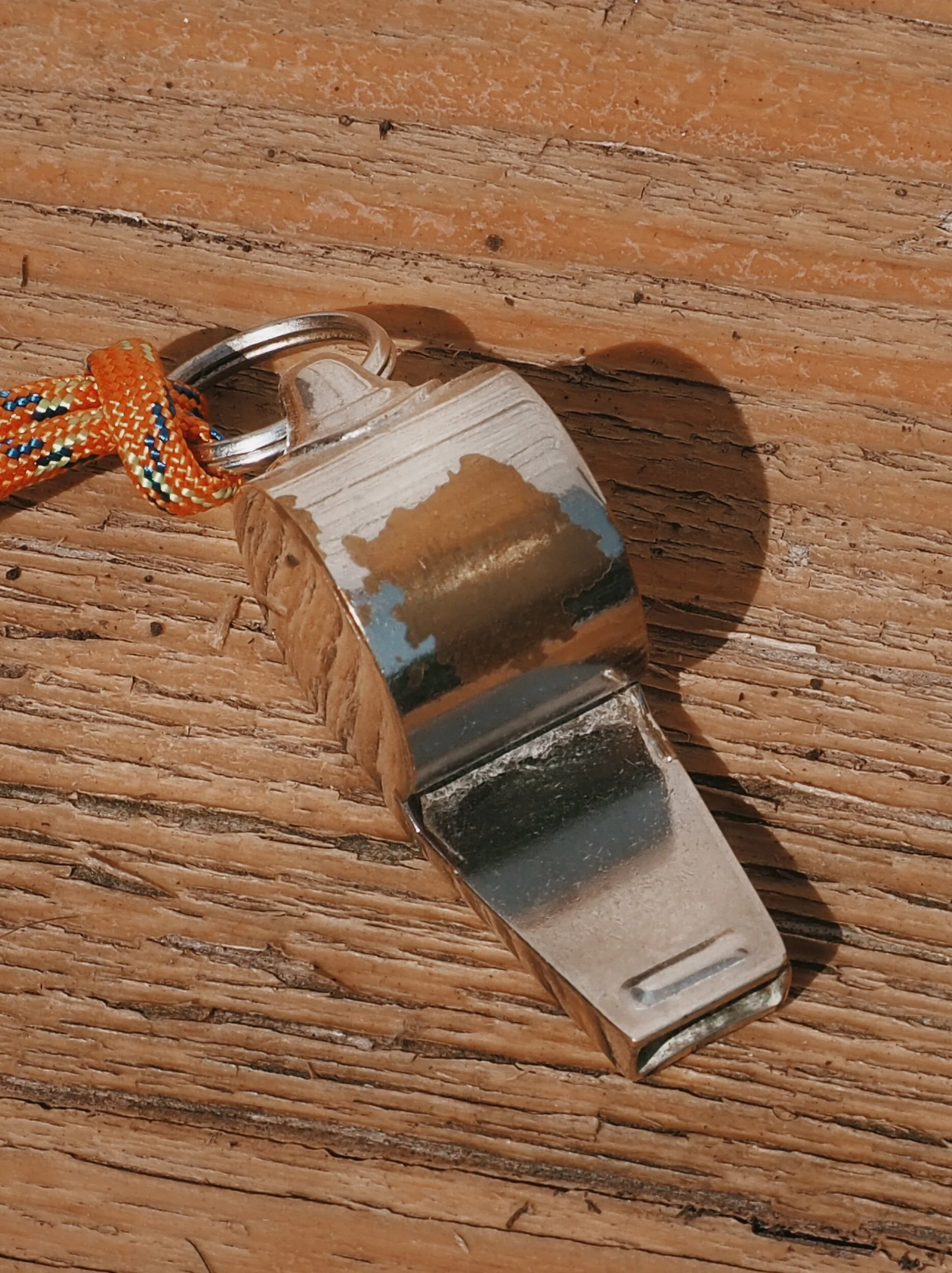 41DE2FC9-893C-45D7-9EF8-6F54F6742E37