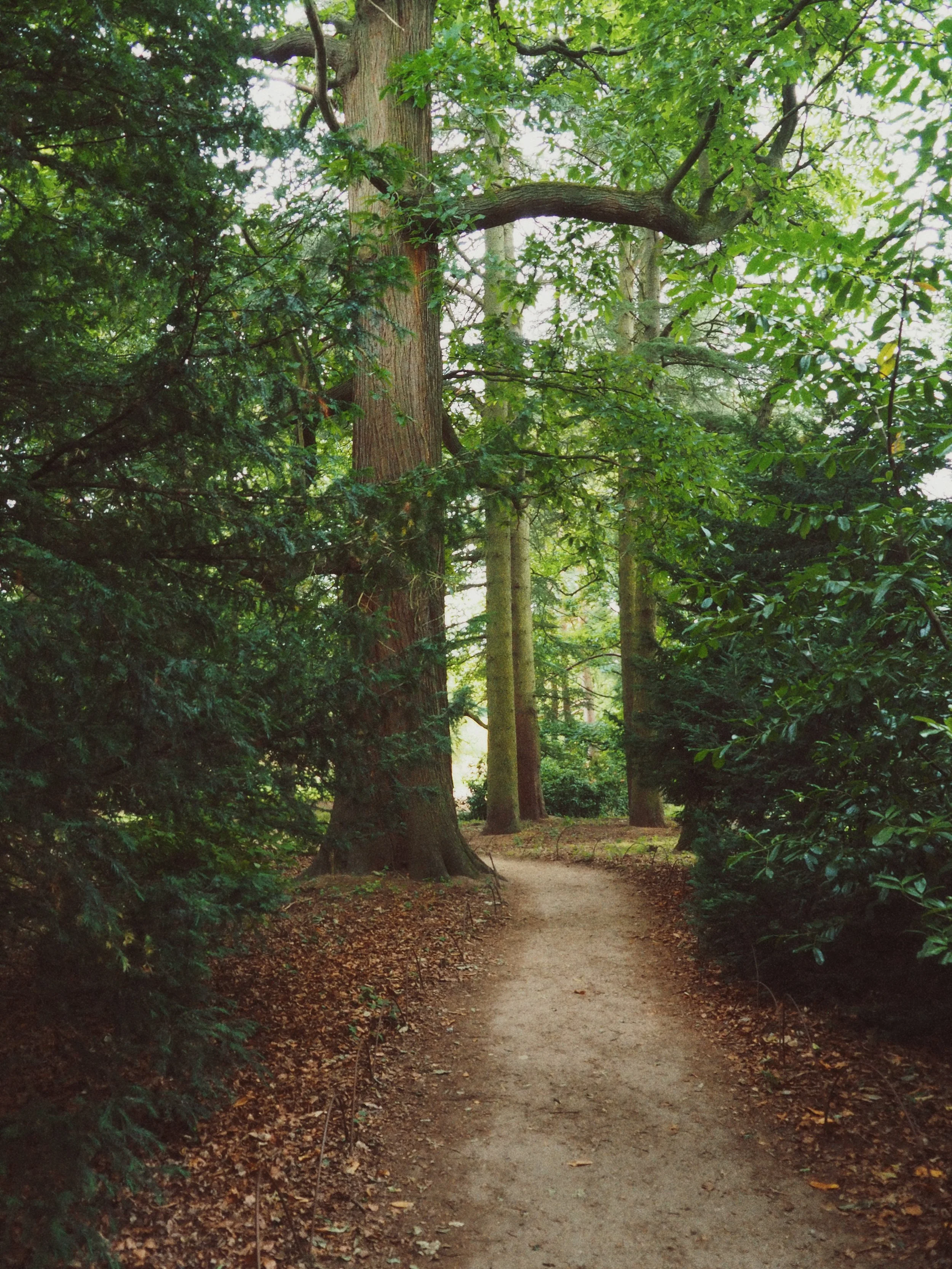 Kedleston Hall - 
A Photo Series