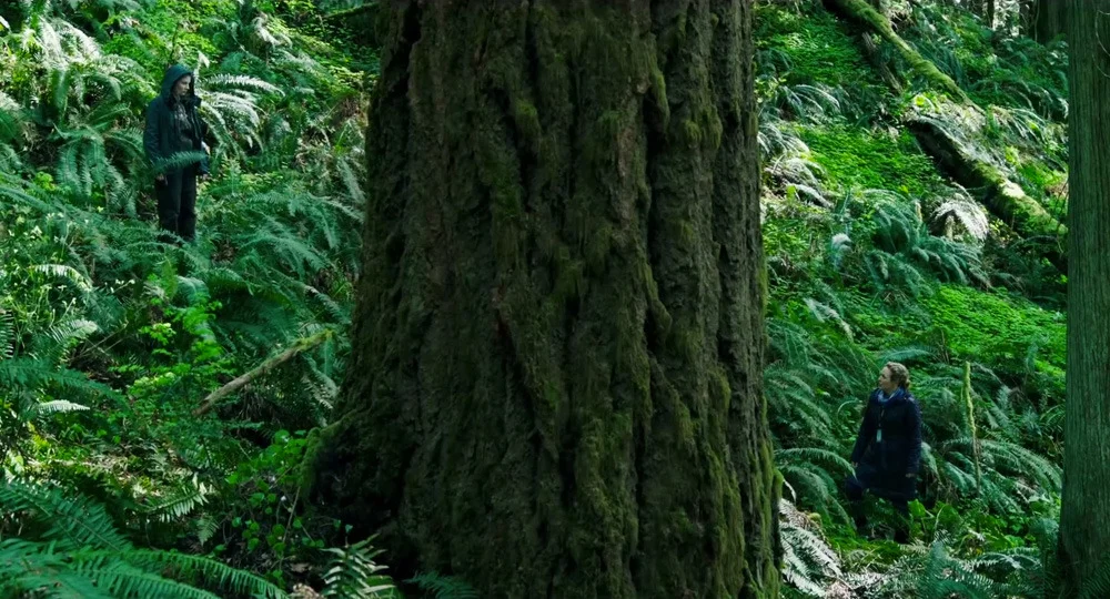 leavenotrace.jpg