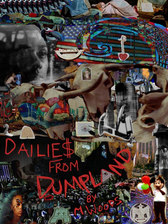 dailies-from-dumpland-poster-final.jpg