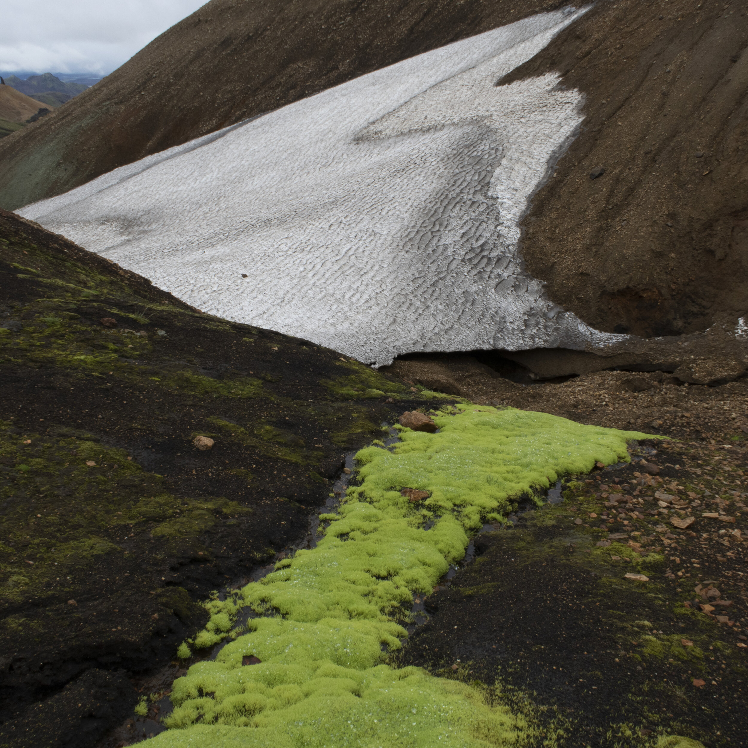 JetvanSchie_2019_Ijsland_jvs0013.jpg