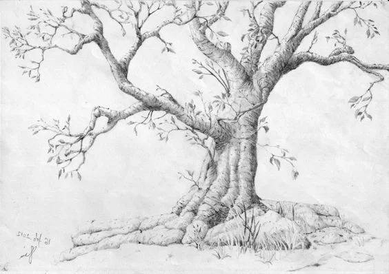 tree.jpg