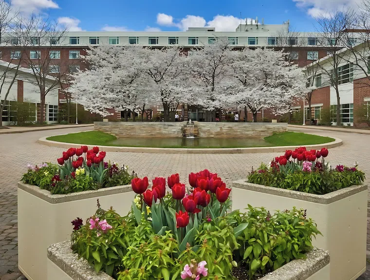 PennStaterFlowers.webp