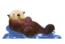 _Otter_Color_Hi.jpg
