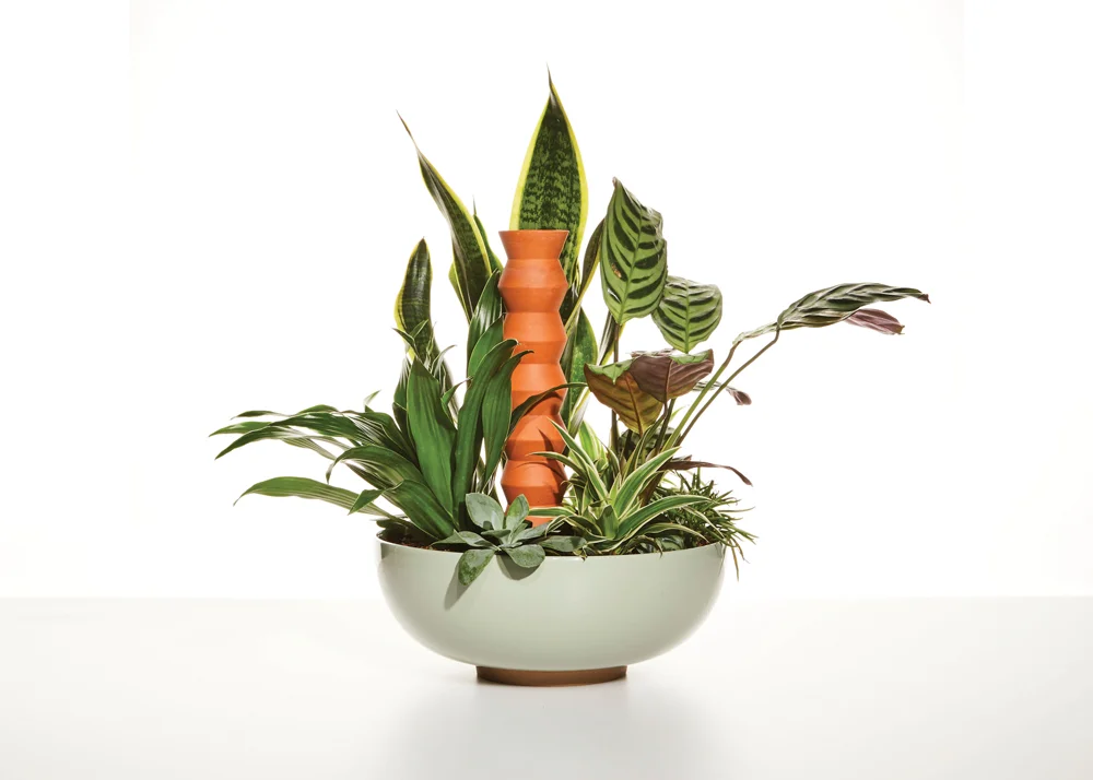 Boskke_Totem-header.jpg