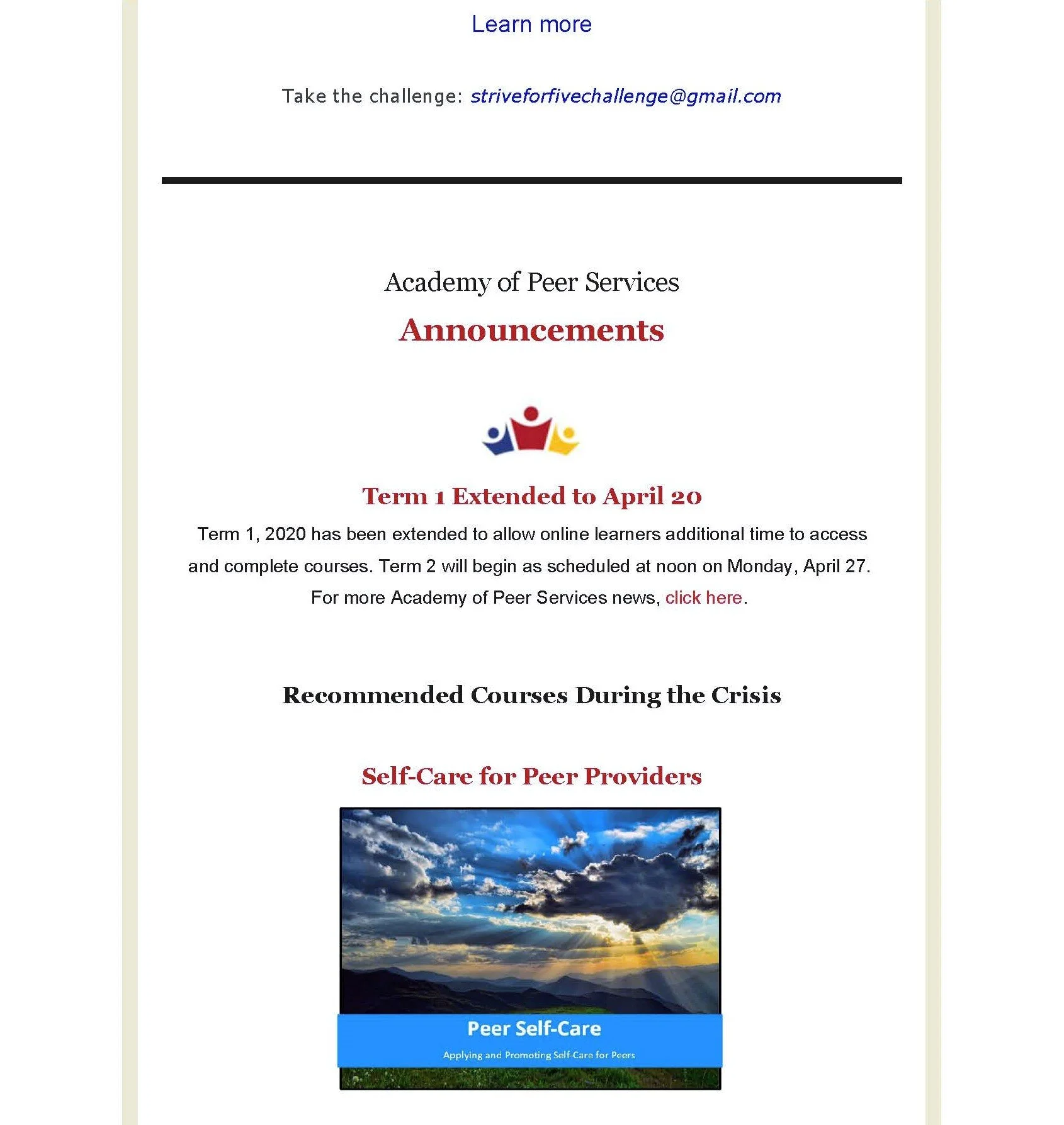 Academy of Peer Services_Page_3.jpg