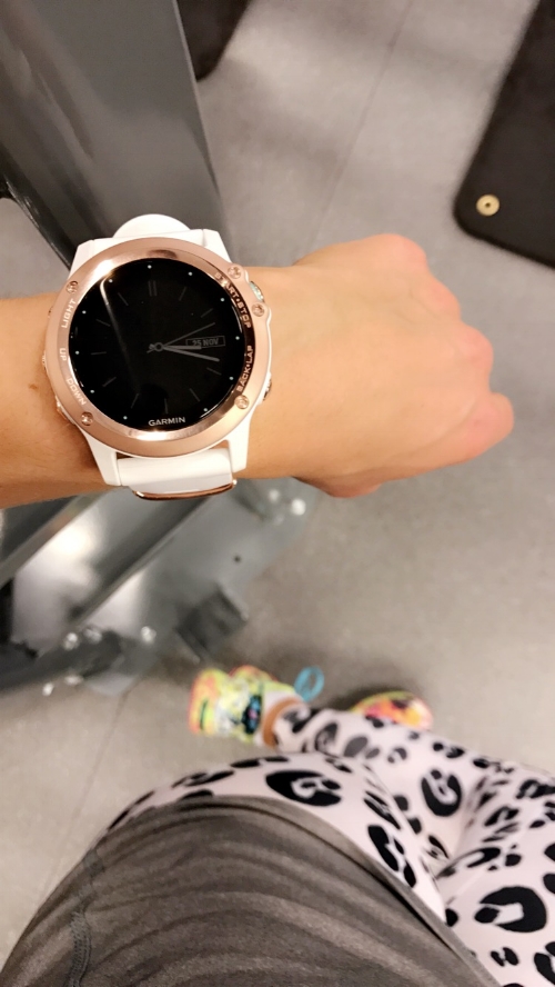 Garmin Fenix 3