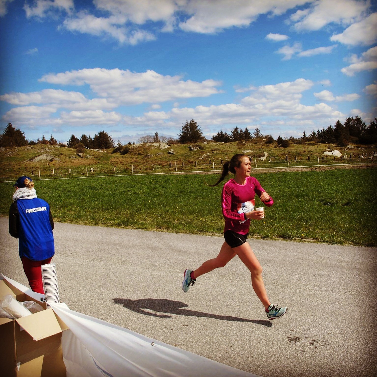 Wings For Life i 2015