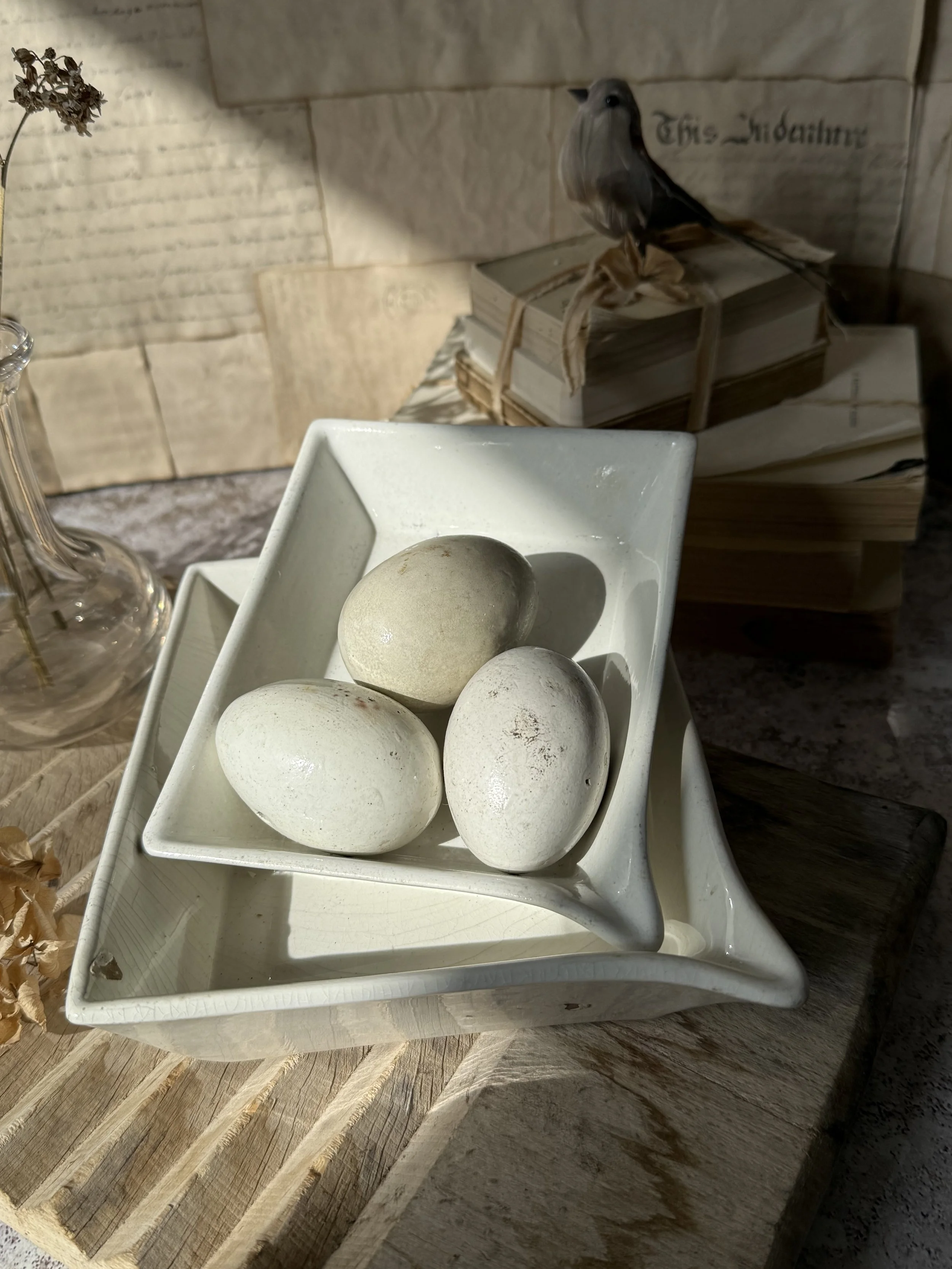 Photographic Tray
