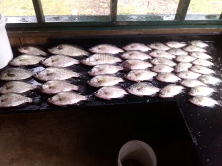 IMG_20120515_144354.jpg