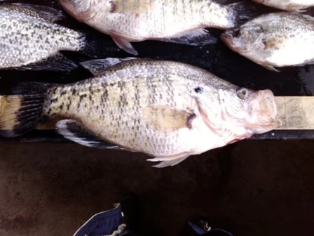 IMG_20130206_130858.jpg