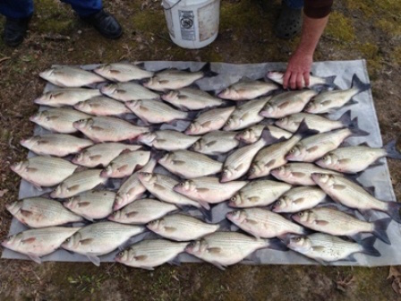 2 limits 2014.jpeg