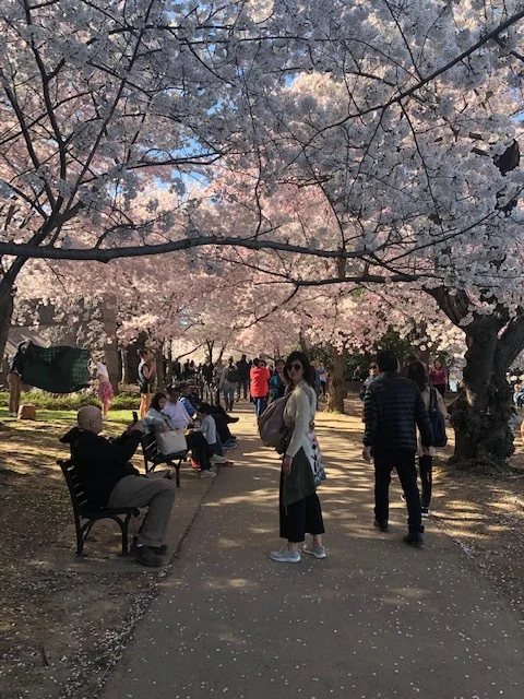 blossoms.jpg