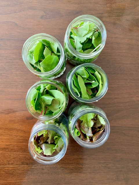 salads.jpeg