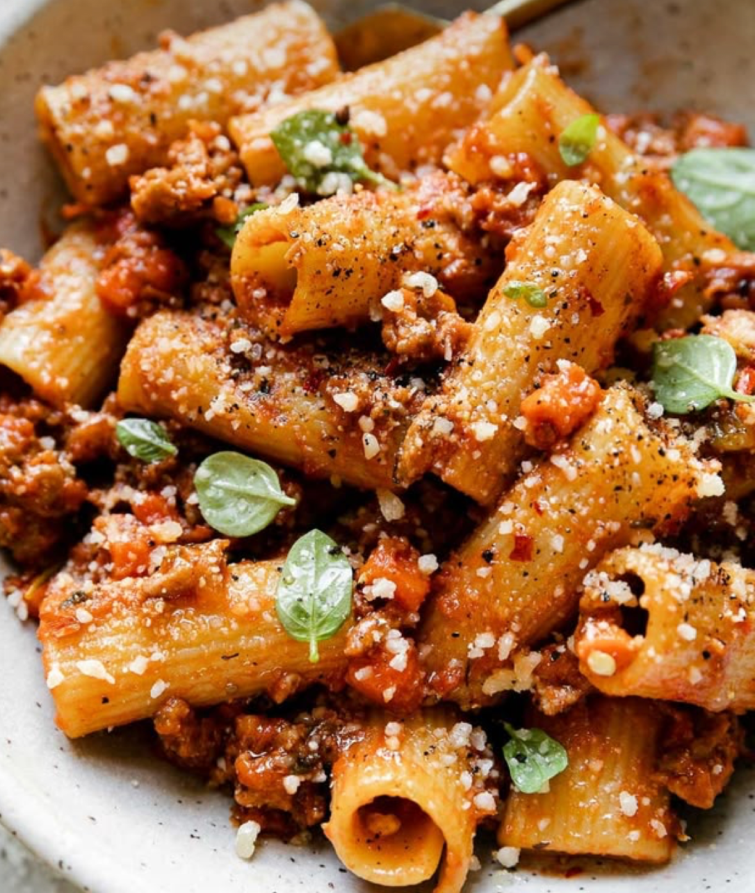 Turkey Bolognese.png